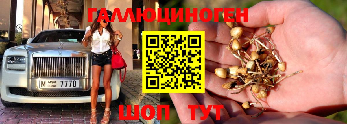 купить  сайты  Вход с VPN  Галлюциногенные грибы мухоморы  Королёв  Псилоцибиновые грибы MAGIC MUSHROOMS 